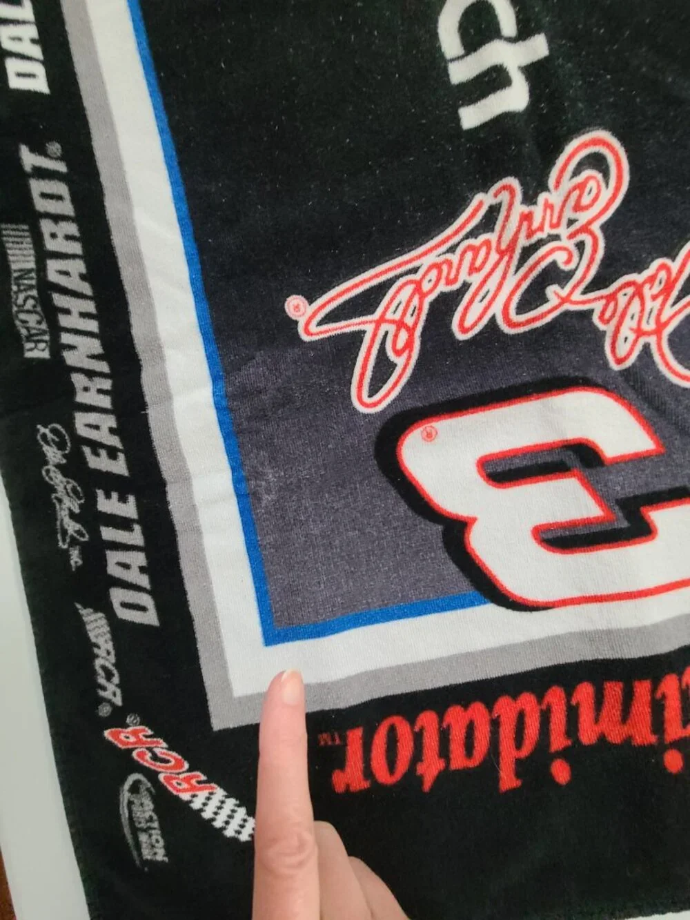 Nascar dale earnhardt